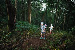 BIB: 
                            <button type="button" onclick="openModal(22426618)" class="btn btn-primary btn-sm float-right btn-popup" data-toggle="modal" data-target=".modal-high-quality">
                        <i class="fas fa-shopping-cart"></i> Add to Cart
                    </button>
                                            <button type="button" onclick="isThisMe(22426618, true)" class="btn btn-success btn-sm float-right btn-popup btn-isme hidden" data-toggle="tooltip" data-placement="bottom" title="นี่คือรูปของคุณใช่ไหม คลิกที่นี่เพื่อเอาเข้าอัลบั้ม">
                        <i class="fas fa-plus"></i> Add to album
                    </button>
                    <button type="button" onclick="isThisMe(22426618, false)" class="btn btn-warning btn-sm float-right btn-popup btn-isnotme hidden">
                        <i class="fas fa-ban"></i> Remove from album
                    </button>